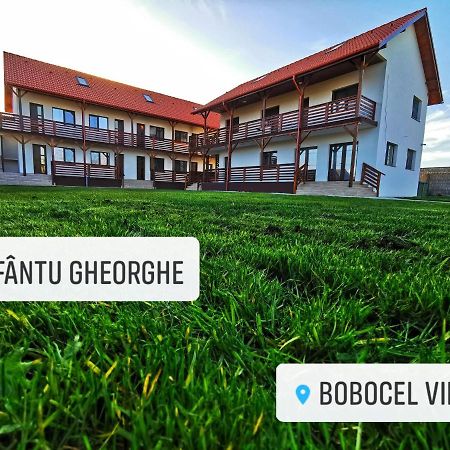 Bobocel Villa Sfântu Gheorghe Eksteriør billede